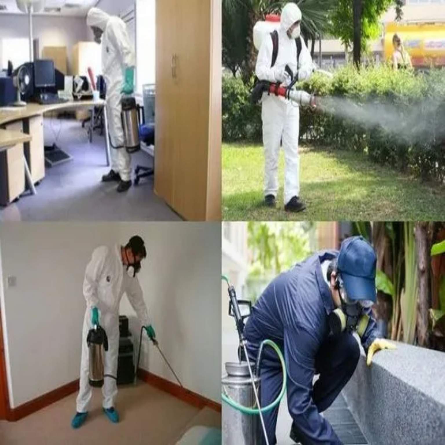 شركة دليل التميز لمكافحة الحشرات بالرياض – حماية آمنة لعائلتك بخصم 20٪ على المبيدات الصحية والفعالة