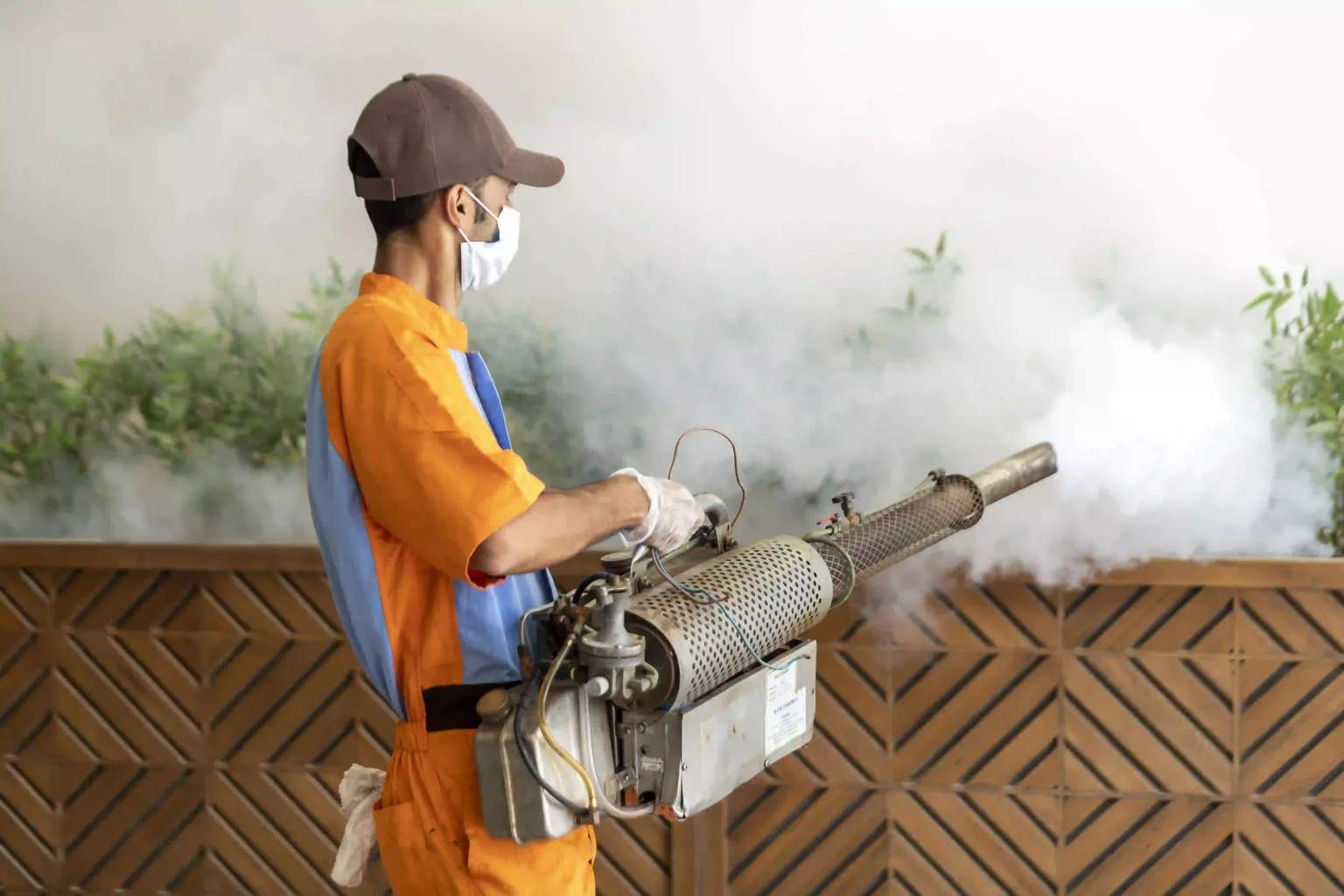 شركة دليل التميز لمكافحة الحشرات بالرياض – حماية آمنة لعائلتك بخصم 20٪ على المبيدات الصحية والفعالة